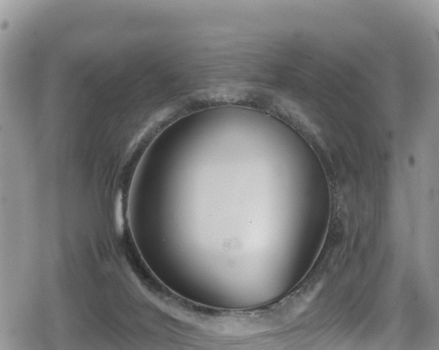 X0000080710020200612221154