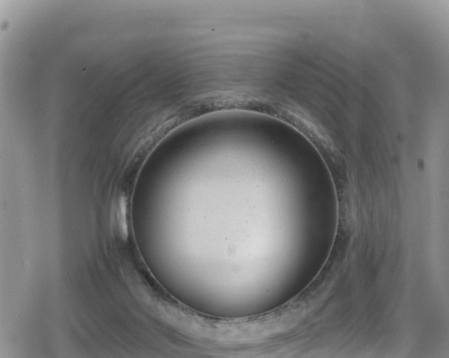 X0000080710022200612221154