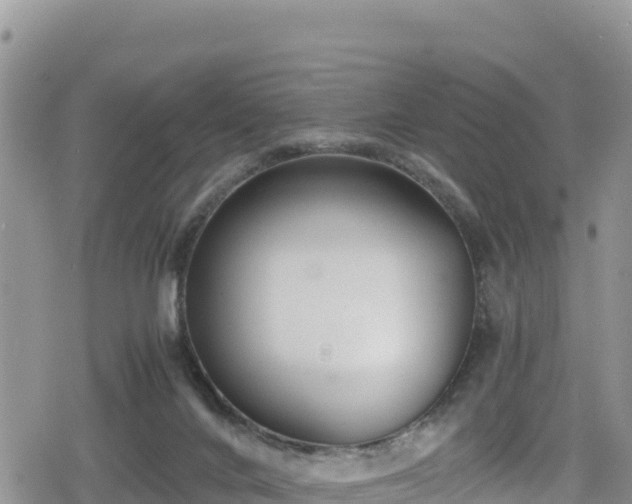 X0000080710024200612221154