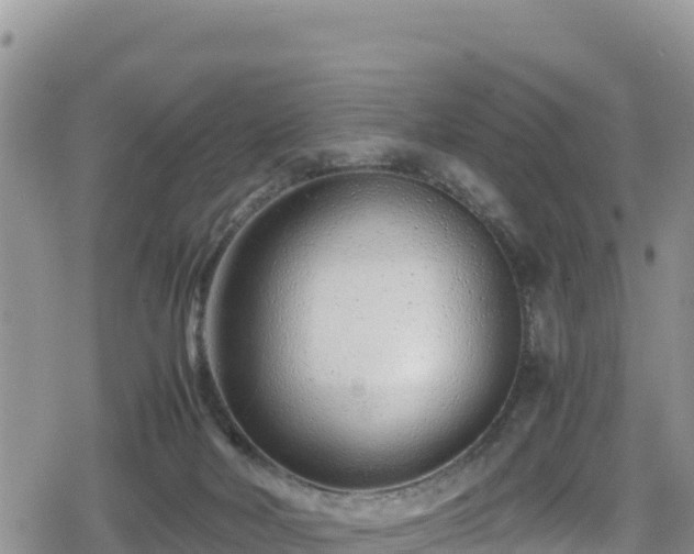 X0000080710026200612221154