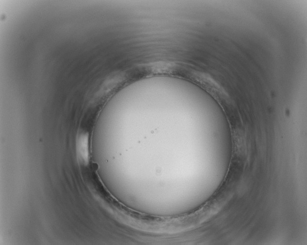 X0000080710028200612221154