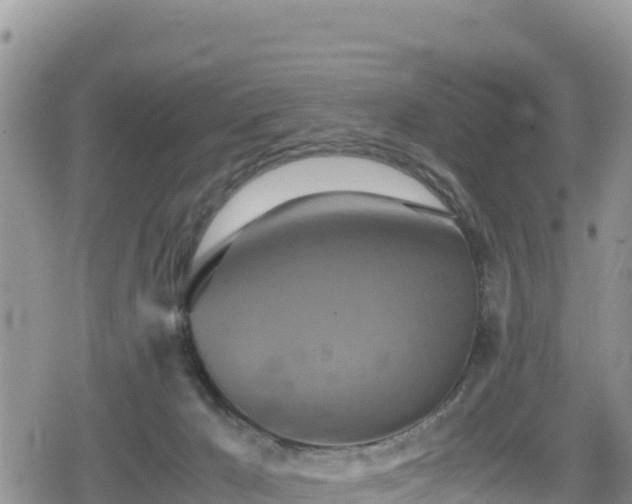 X0000080710029200612221154