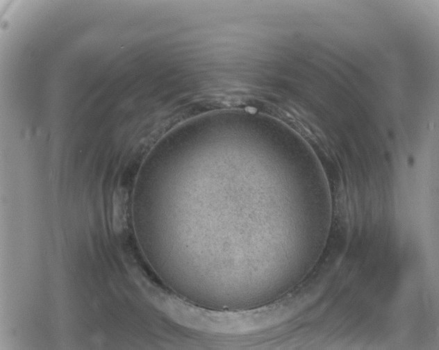 X0000080710030200612221154