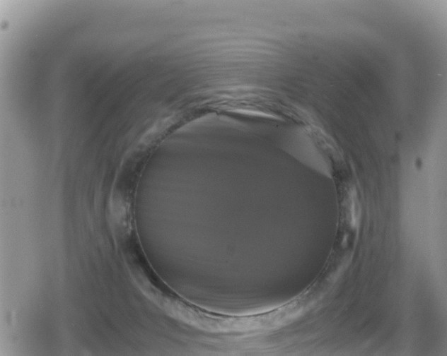 X0000080710031200612221154