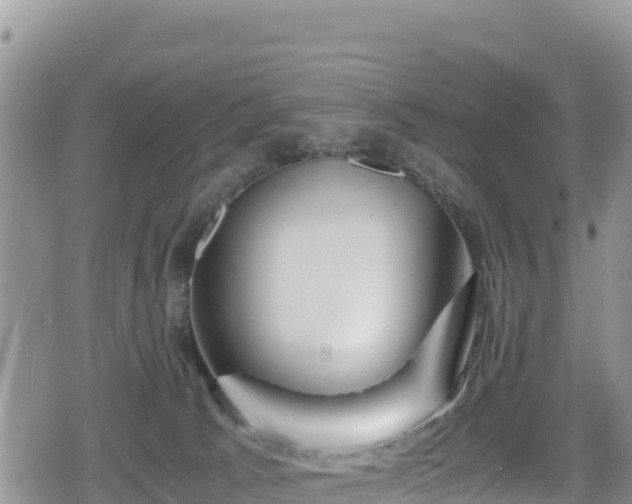 X0000080710033200612221154