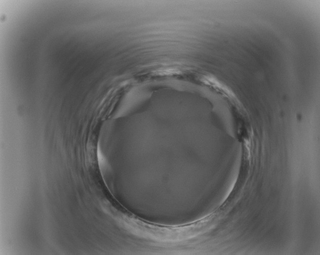 X0000080710035200612221154