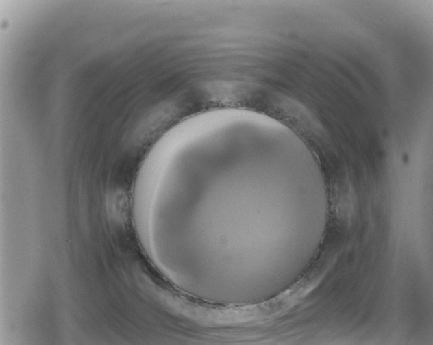 X0000080710036200612221154