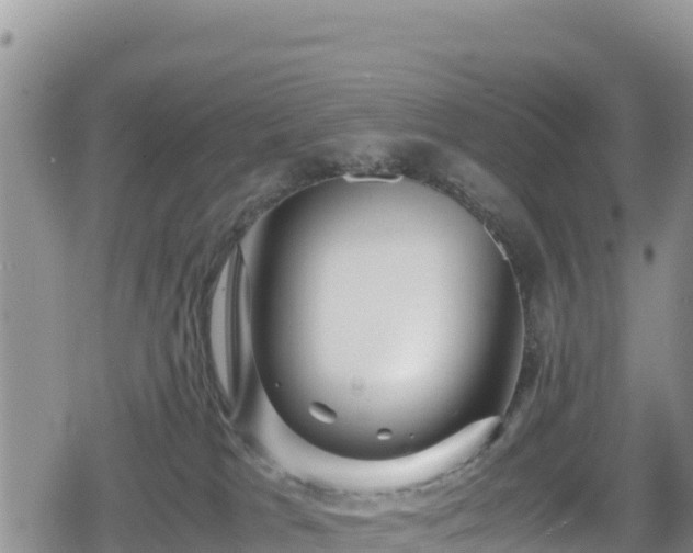 X0000080710037200612221154