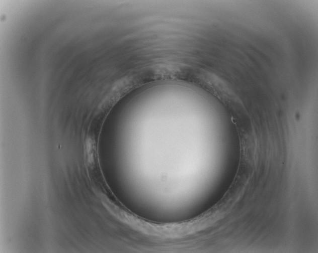 X0000080710038200612221154