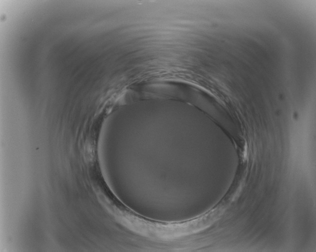 X0000080710039200612221154