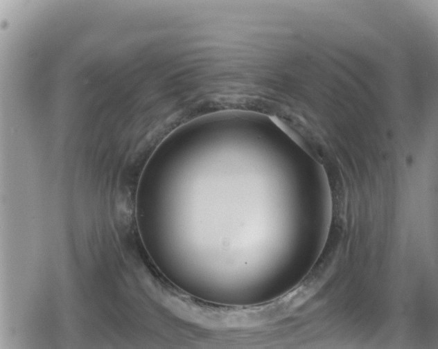 X0000080710040200612221154