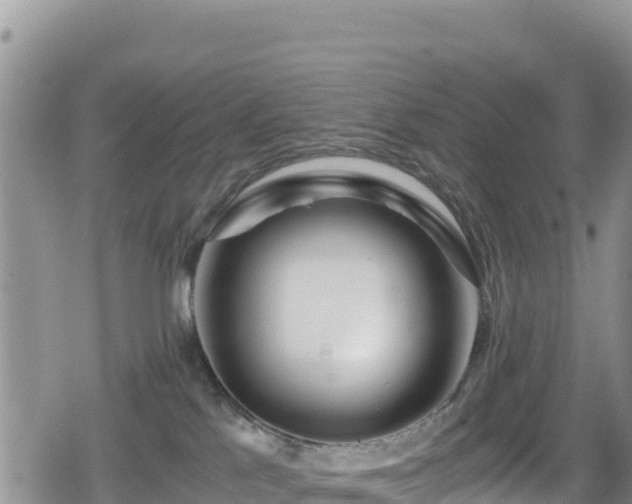 X0000080710041200612221154