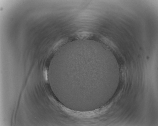 X0000080710042200612221154