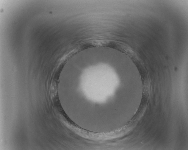 X0000080710043200612221154