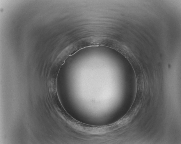 X0000080710044200612221154