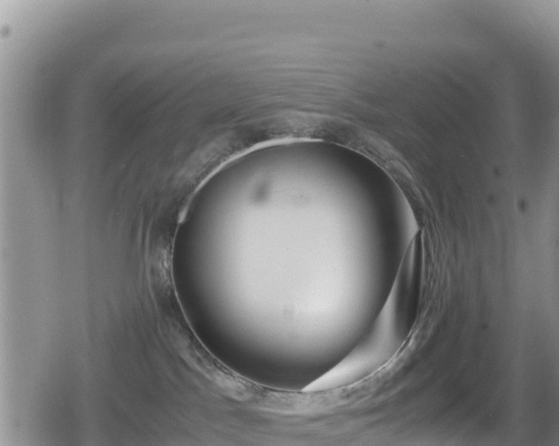 X0000080710045200612221154