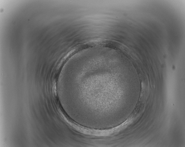 X0000080710048200612221153