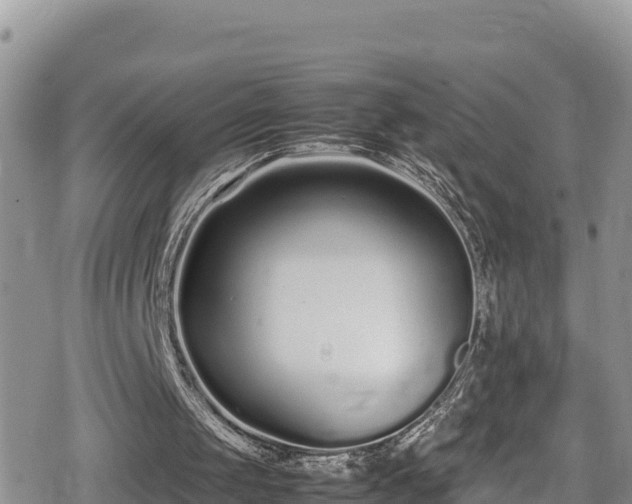 X0000080710049200612221153