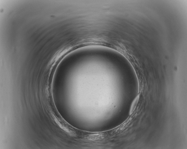 X0000080710050200612221153