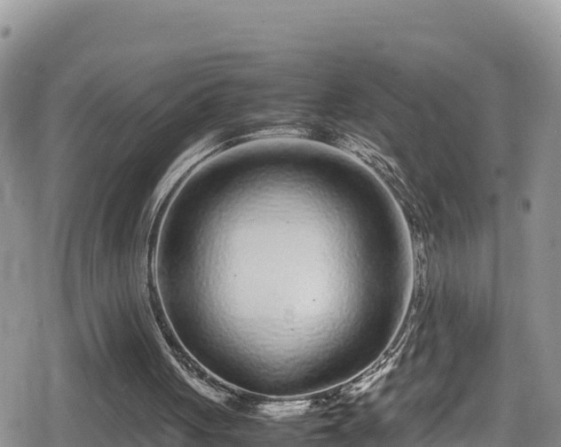 X0000080710051200612221153