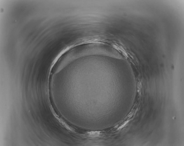 X0000080710052200612221153