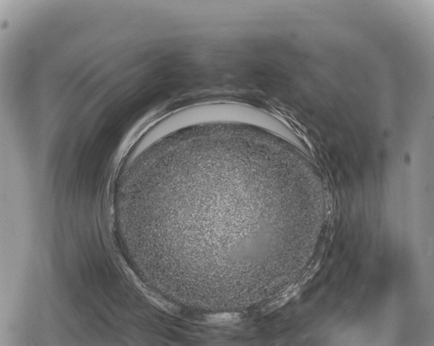 X0000080710053200612221153