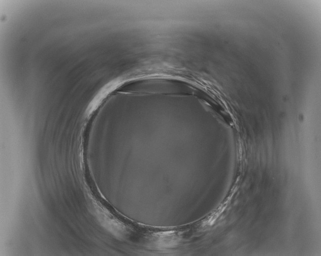 X0000080710054200612221153