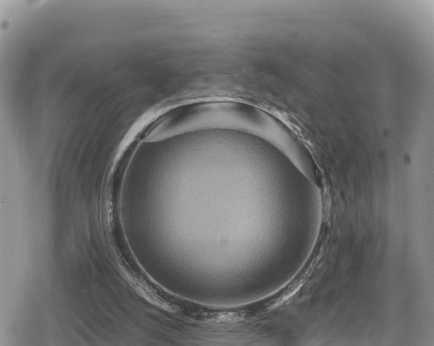 X0000080710056200612221153