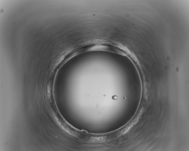 X0000080710057200612221153