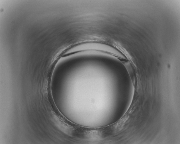 X0000080710058200612221153