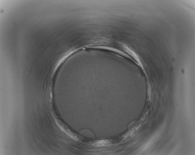 X0000080710059200612221153