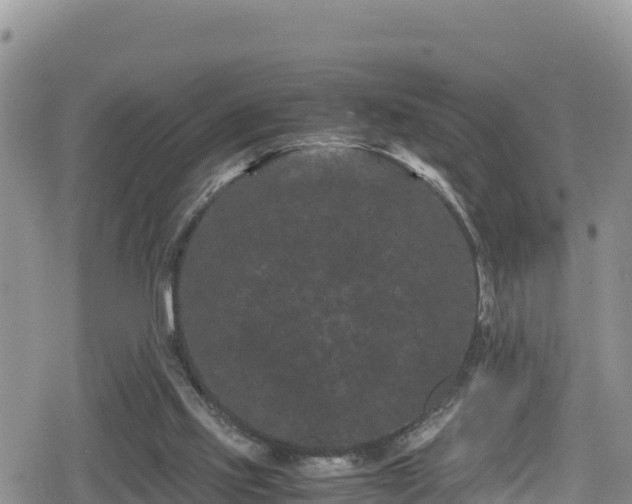 X0000080710061200612221153