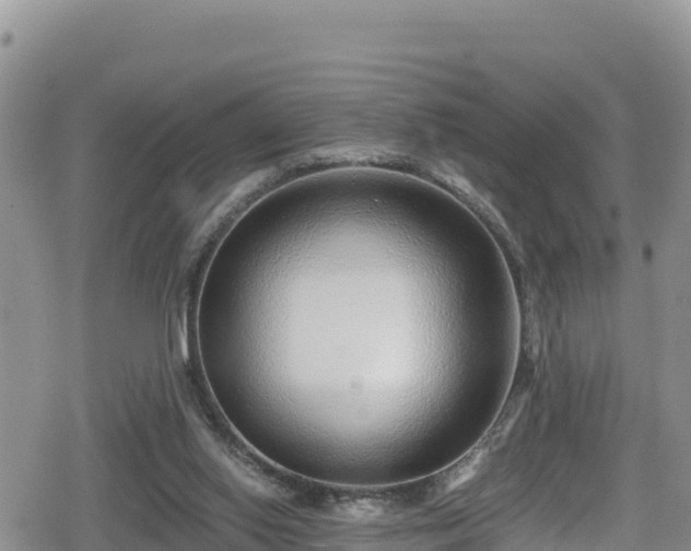 X0000080710062200612221153