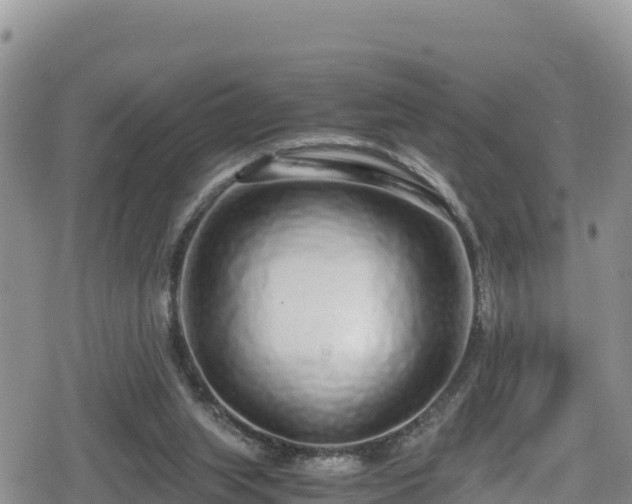 X0000080710063200612221153