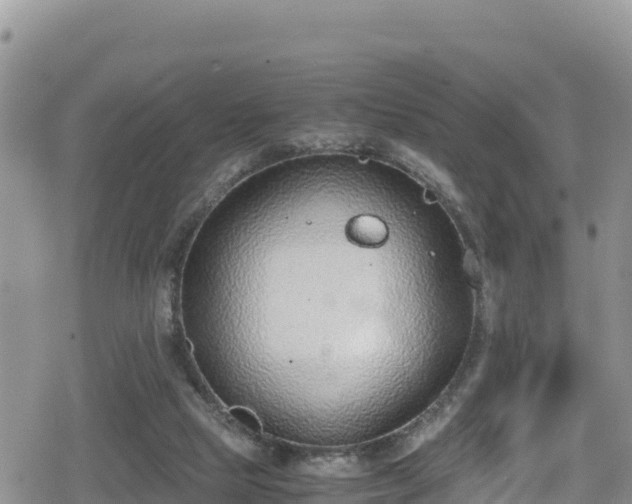 X0000080710065200612221153