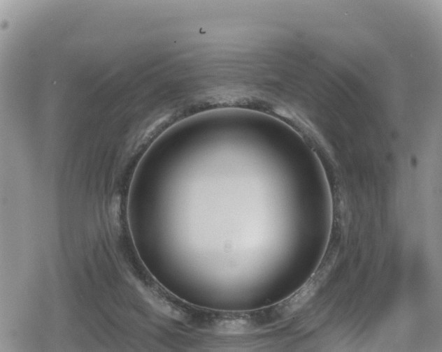 X0000080710066200612221153