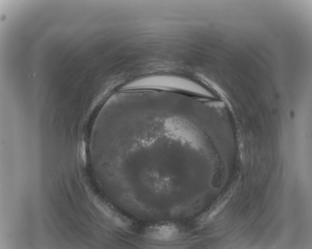 X0000080710067200612221153