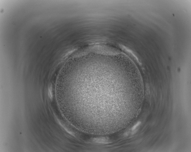 X0000080710069200612221153