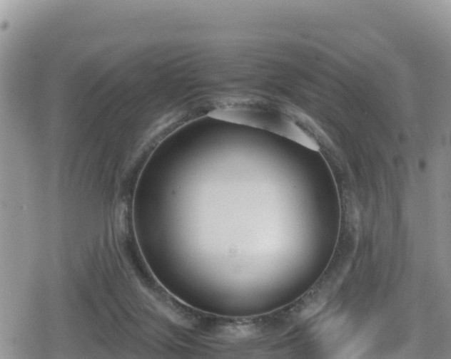 X0000080710071200612221153