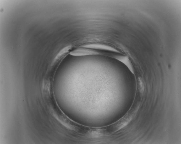 X0000080710072200612221153