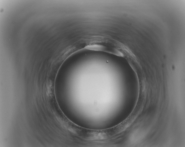 X0000080710073200612221153