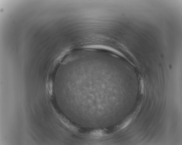 X0000080710076200612221153