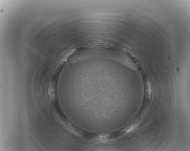 X0000080710080200612221153