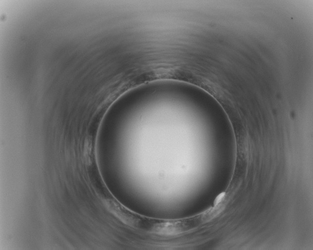 X0000080710082200612221153