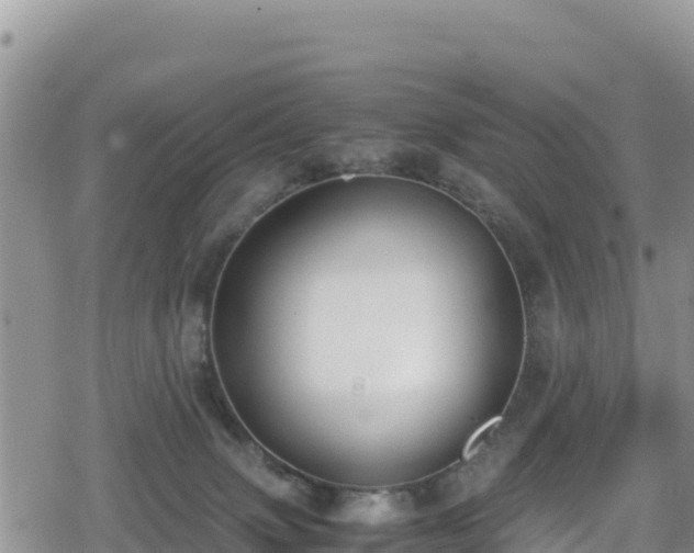 X0000080710083200612221153