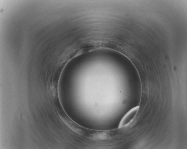 X0000080710086200612221153