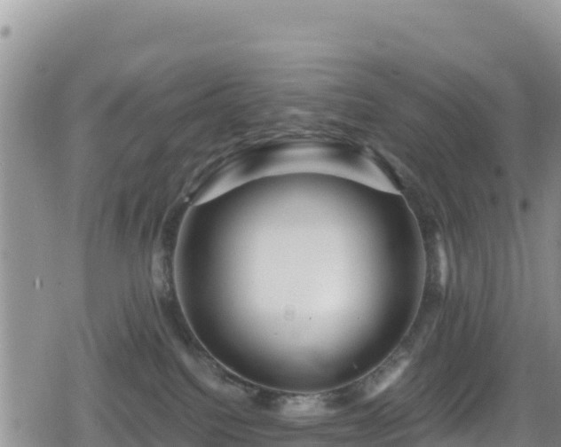 X0000080710088200612221153