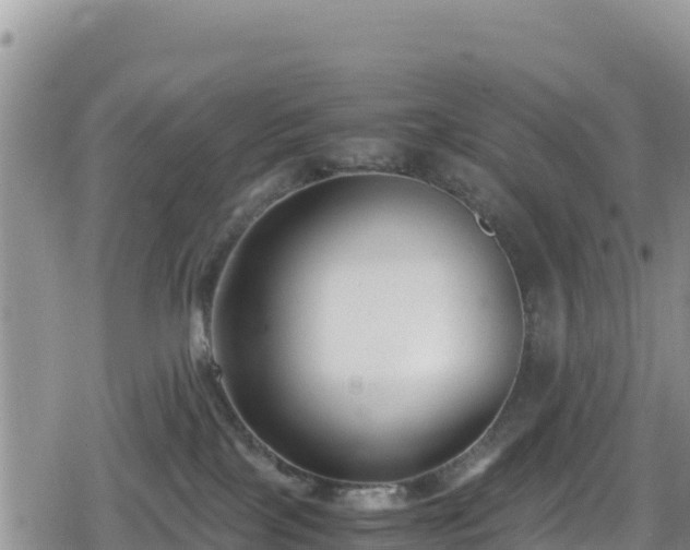 X0000080710089200612221153