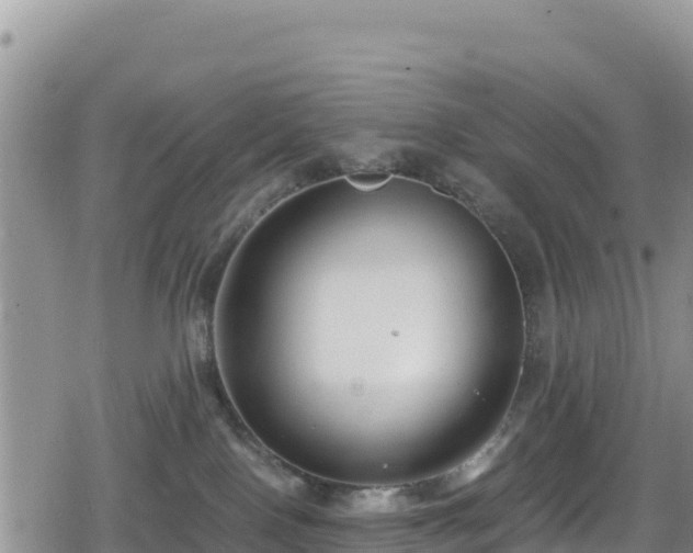 X0000080710090200612221153