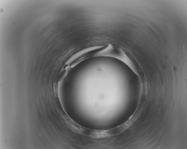 X0000080710093200612221153